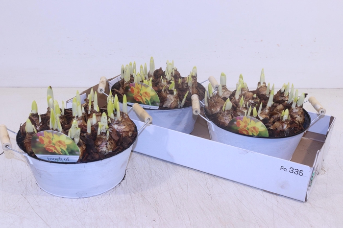 <h4>Arr N Tete A Tete</h4>