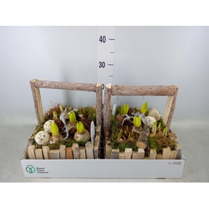 Arr.   Bol/Knolgewas L%