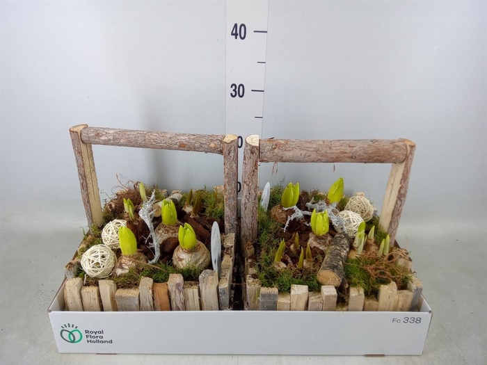 <h4>Arr.   Bol/Knolgewas L%</h4>