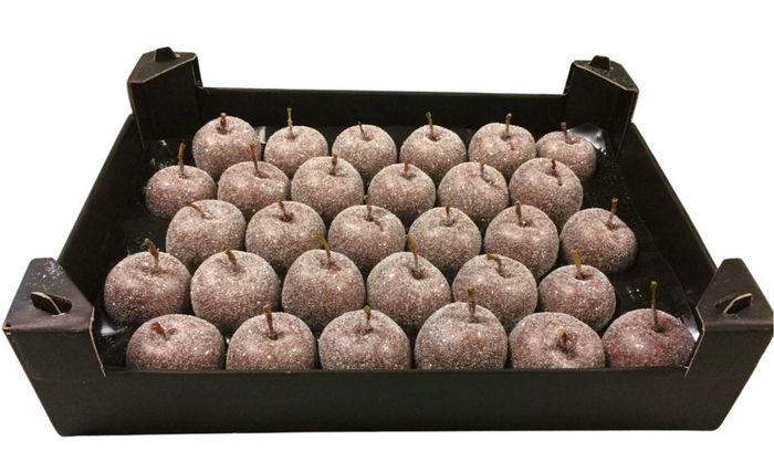 <h4>Waxappel Gl Taupe</h4>