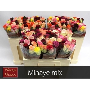 R Gr Mix In Bunch Minaye