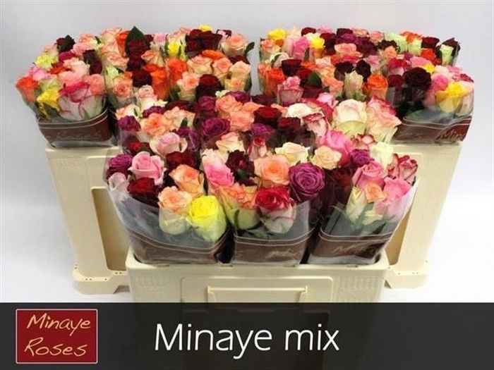 R Gr Mix In Bunch Minaye