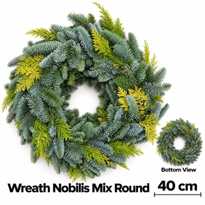ABIES NOBILIS BLAUW