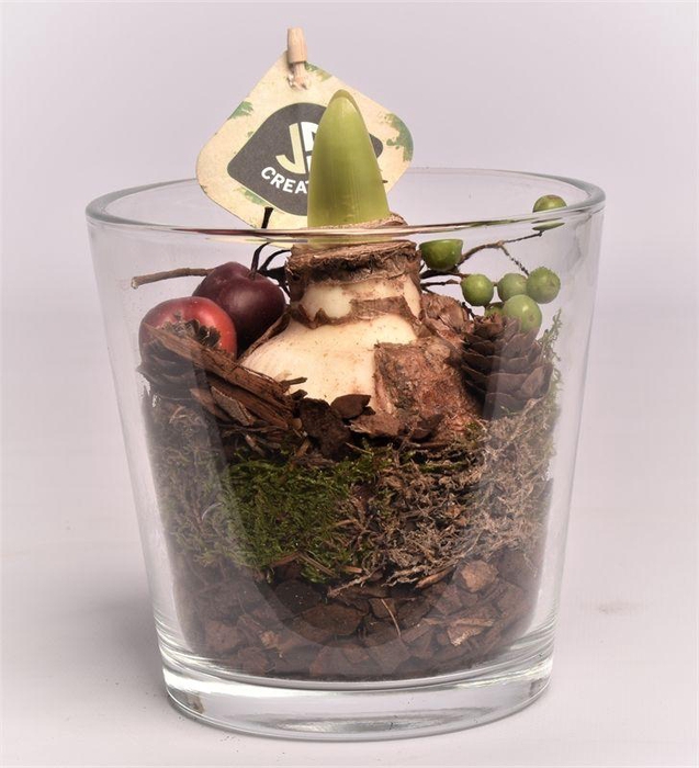 <h4>Glas potje 13 cm</h4>