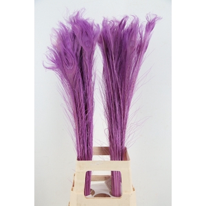 Feather Peacock Milka 90cm