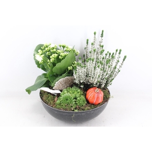 arr4 Outdoor VL - Kunstst. black rond x2