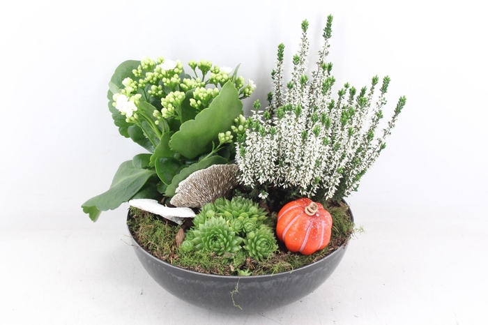 <h4>arr4 Outdoor VL - Kunstst. black rond x2</h4>