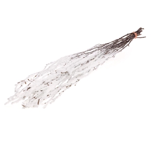 Birch 75cm Nat. Heav Snw