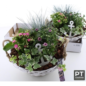 ARR TUINPLANTEN