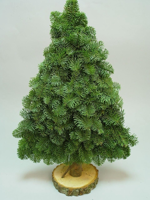 <h4>2D decoratieve bomen 2 zijdig op voet Nobilis 60cm</h4>