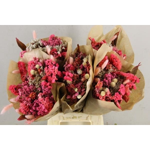 Df Bouquet 50cm Neo Pink/white