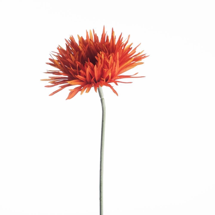 <h4>AF Gerbera Spider L65cm Orange</h4>