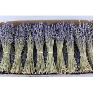 Lavendel Gedroogd 80 Gram