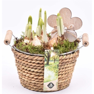 Touw met zink schaal 15cm