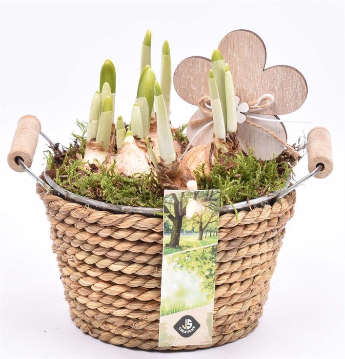 <h4>Touw met zink schaal 15cm</h4>