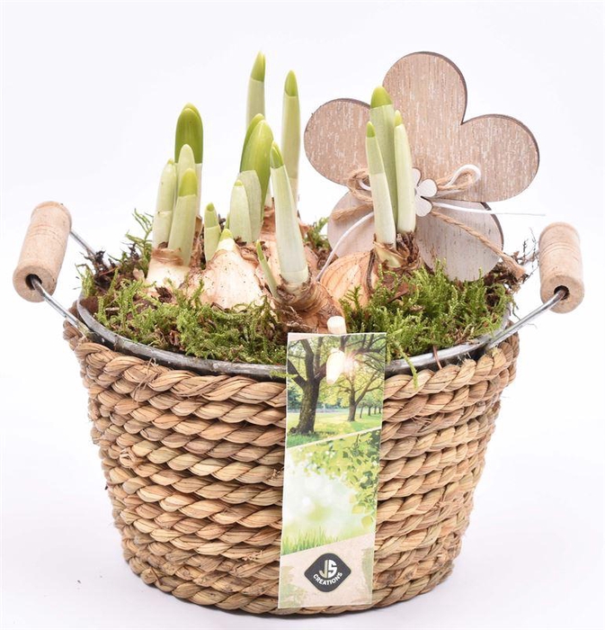 <h4>Touw met zink schaal 15cm</h4>