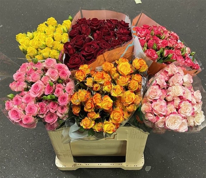 R Tr Gemengd In Fust