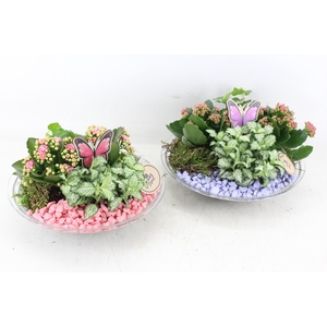 arr2 PL - Glas schaal 27cm - roze/lila