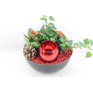 arr2 MB - Kunstst. schaaltje RED 1wax x5