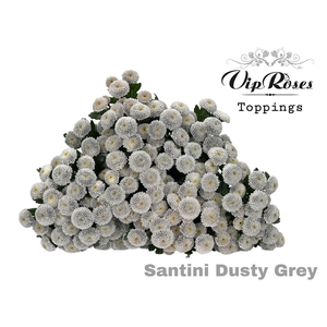 Chr S Dusty Grey