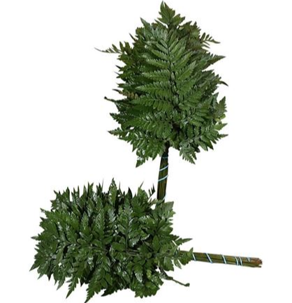 <h4>LEDERVAREN MEDIUM (IN ZAK PER STEEL)</h4>