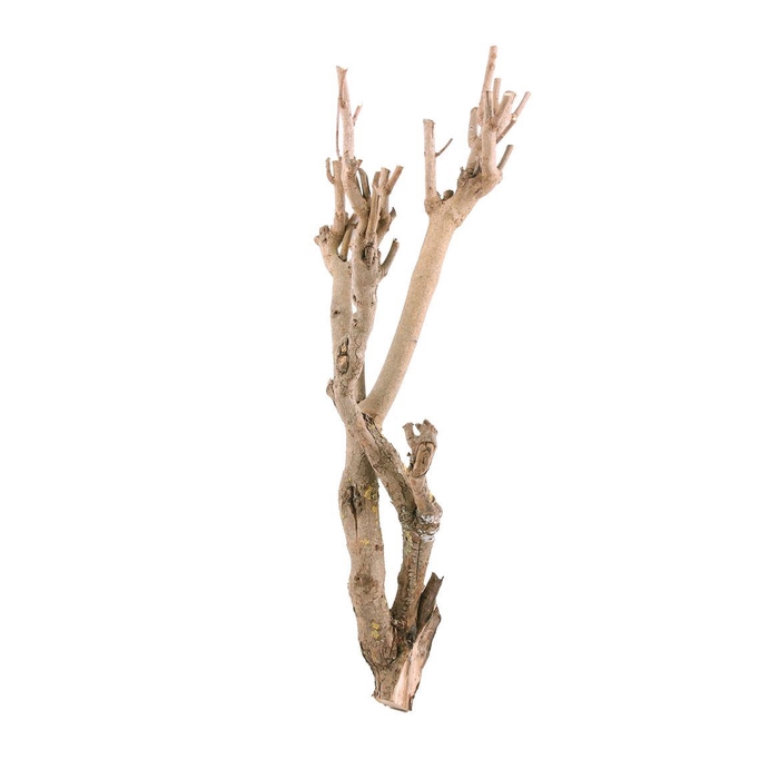 <h4>Seringen Hout</h4>