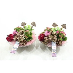 3329 PAARS GLAS 28