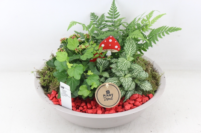 <h4>arr2 PL - Zink schaal creme - rood</h4>