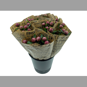 Mono Pioenen Roze x5 in broodpapier