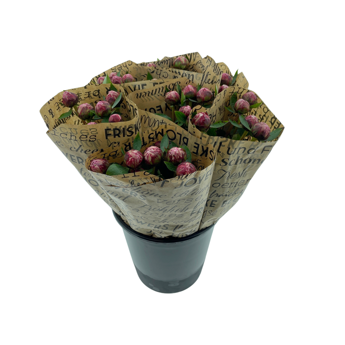 <h4>Mono Pioenen Roze x5 in broodpapier</h4>