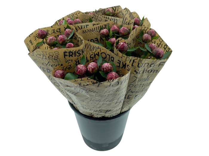 <h4>Mono Pioenen Roze x5 in broodpapier</h4>