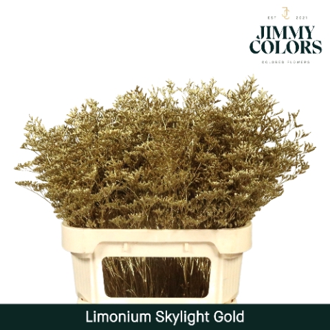 <h4>Limonium Skylight L80 Mtlc. Gold</h4>