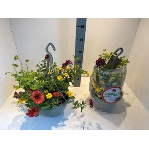 PERKPL GEM IN POT