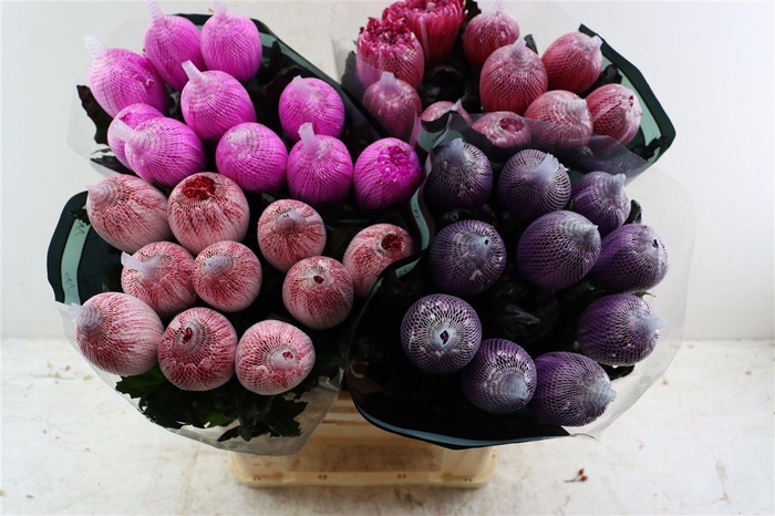 <h4>Chr G Kbh Antonov Christmas Mix</h4>