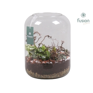 Green Bottle Isabella XLarge met Hyacinten Arrangement