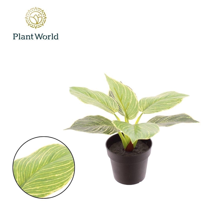 <h4>Artificial Philodendron Birkin</h4>
