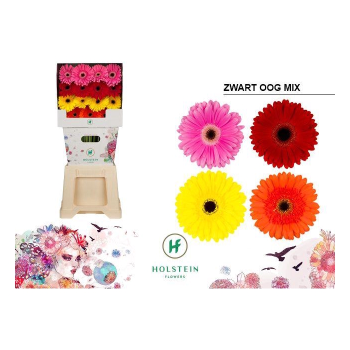 <h4>Ge Gr Op Rij Gemengd</h4>