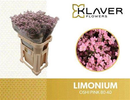 <h4>LIM SAF OSHI PINK 80/40GR</h4>