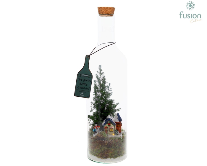 <h4>Green Bottle fles L met Chamaecyparis</h4>