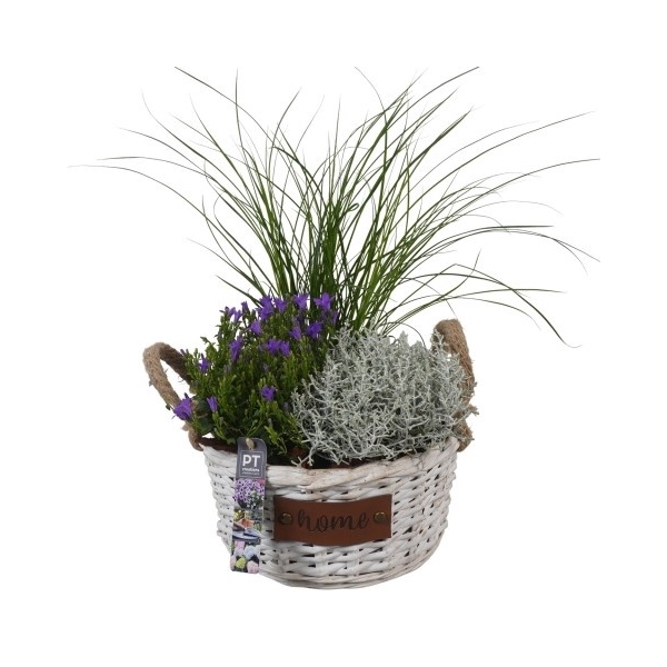 <h4>PTSO8311 Arrangement Summer Outdoor in rieten mand</h4>