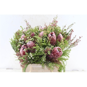 Protea Boeket