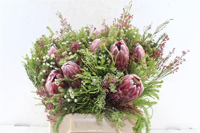 <h4>Protea Boeket</h4>
