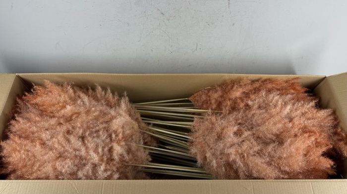 <h4>DF Pampas 115cm Copper/Brown</h4>