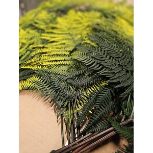 GESTABILISEERD VAREN GROENGEEL