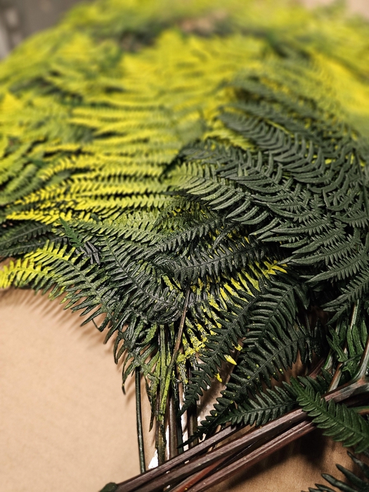 <h4>GESTABILISEERD VAREN GROENGEEL</h4>