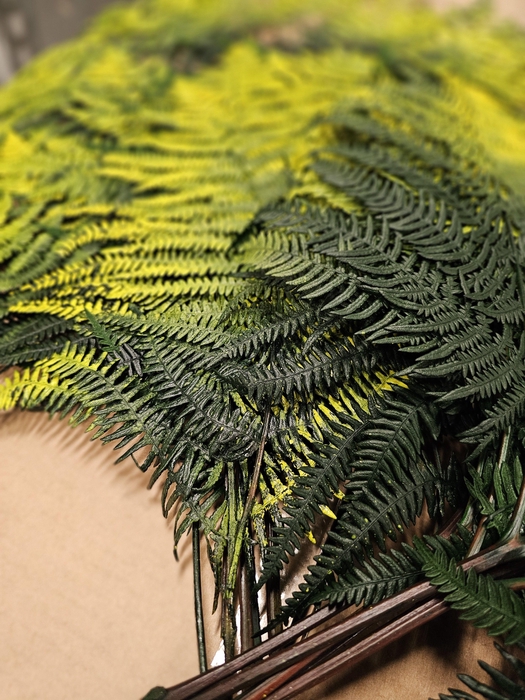 <h4>GESTABILISEERD VAREN GROENGEEL</h4>