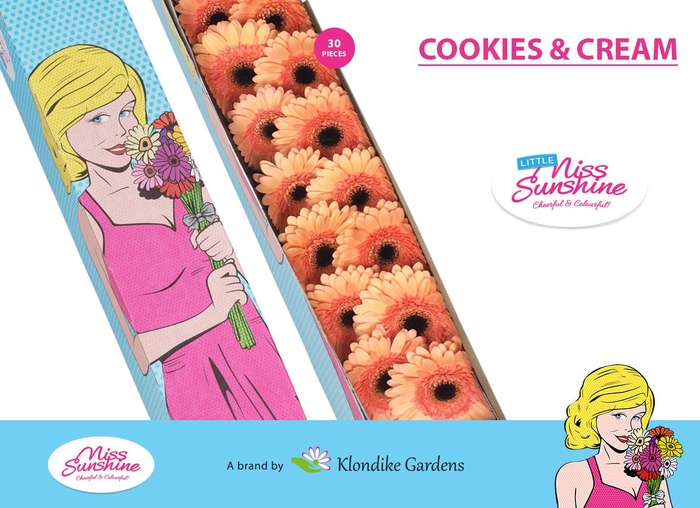 <h4>GE MI COOKIES N CREAM Doos Klein</h4>