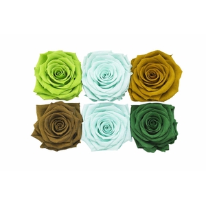 Ro Pres Classic Mix Green