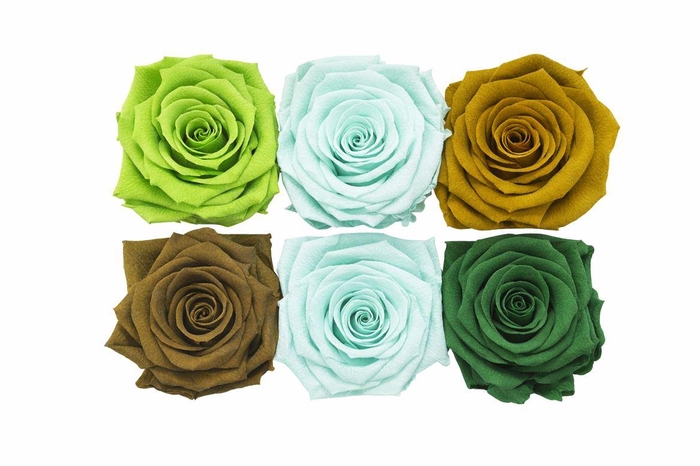 <h4>Ro Pres Classic Mix Green</h4>