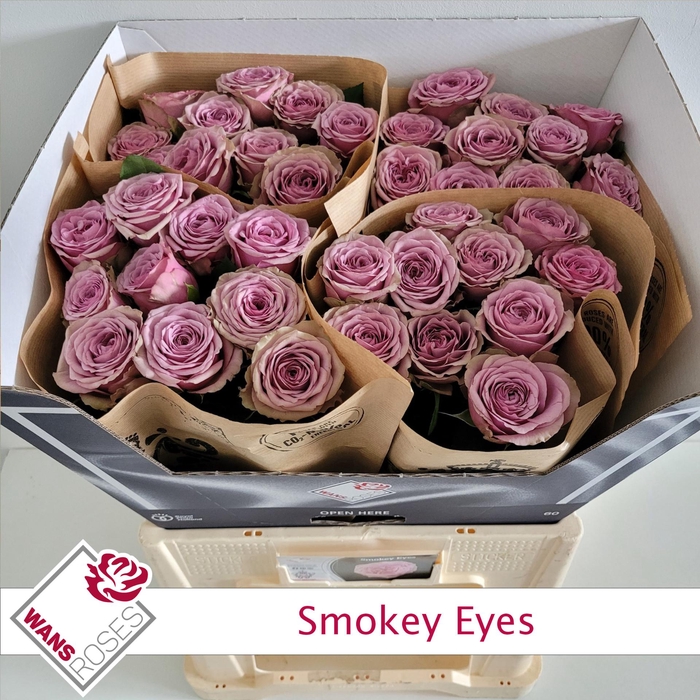 <h4>R GR SMOKEY EYES</h4>